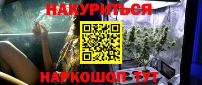 сатива Кумертау