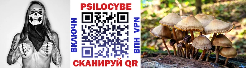 наркота  Костомукша  Псилоцибиновые грибы Psilocybine cubensis 