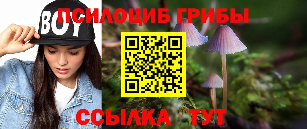 Галлюциногенные грибы Magic Shrooms  Вход с VPN  Костомукша  Псилоцибиновые грибы Magic Shrooms 